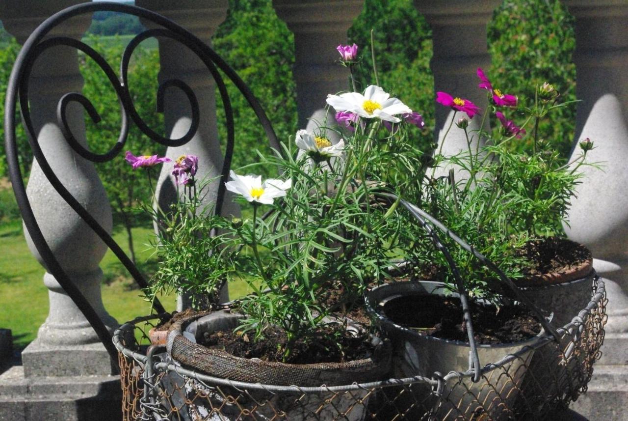 مبيت وإفطار Le Manoir De Crisolles المظهر الخارجي الصورة
