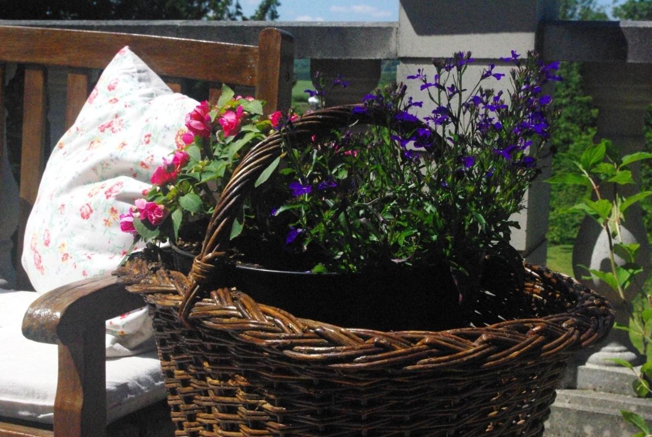 مبيت وإفطار Le Manoir De Crisolles المظهر الخارجي الصورة